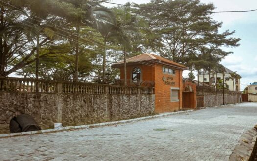 OLIVE GARDEN (Carcass)